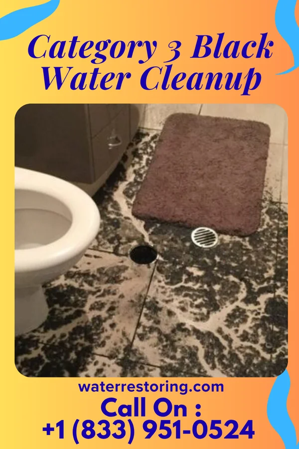 Category 3 Black Water Cleanup in Ingalls, OK